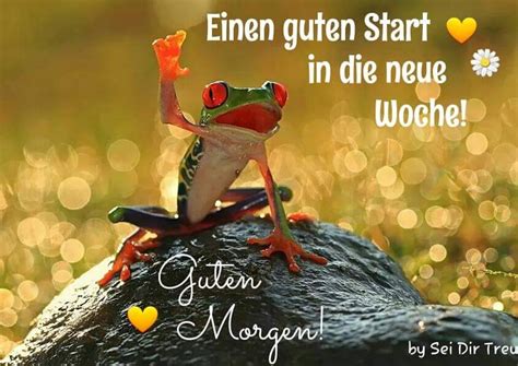 guten start in die neue woche lustige bilder|guten wochenstart gb.